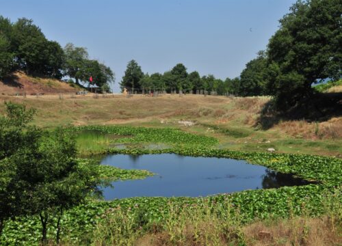 Bursa Gemlik Fevziye Karagöl Kamp Alanı Tanıtımı