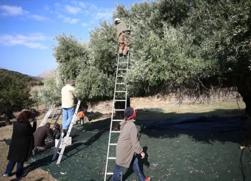 Gökçeada’da Tarih ve Kültür