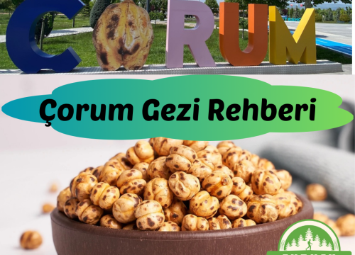Çorum Gezilecek Yerler: Hattuşa Antik Kenti