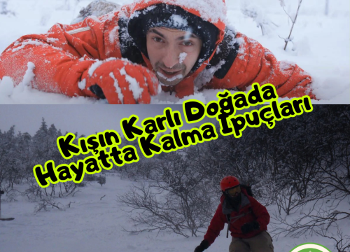 Kışın Karlı Doğada Hayatta Kalma İpuçları