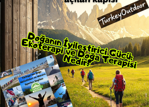 Doğanın İyileştirici Gücü: Ekoterapi ve Doğa Terapisi Nedir?