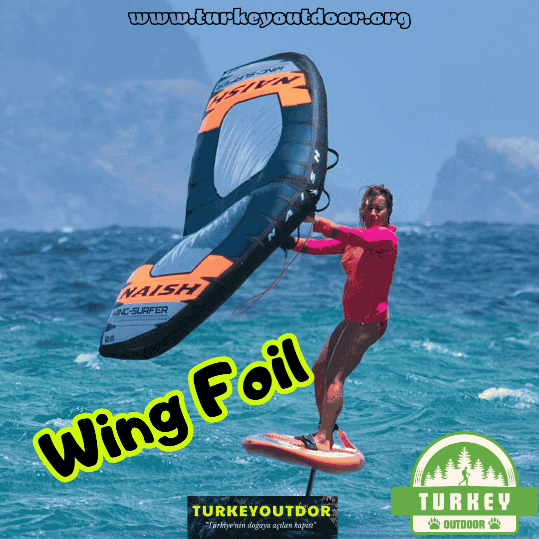 Wing Foil