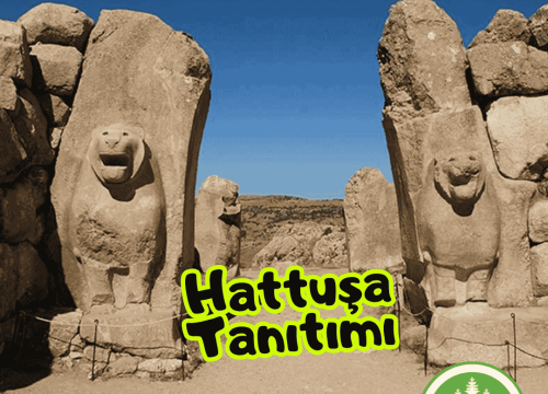 Hattuşa Tanıtımı: Hitit İmparatorluğu’nun Büyüleyici Başkenti