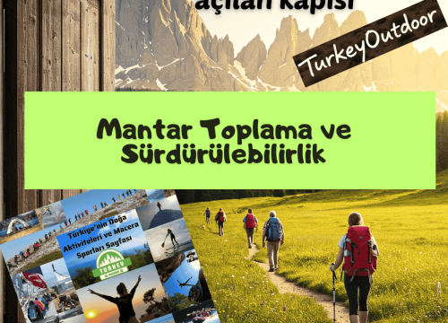 Mantar Toplama ve Sürdürülebilirlik