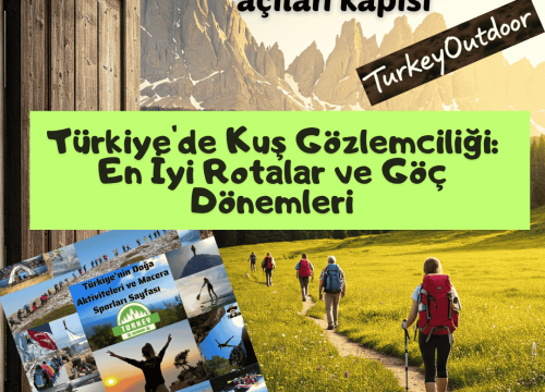 Türkiye’de Kuş Gözlemciliği: En İyi Rotalar ve Göç Dönemleri
