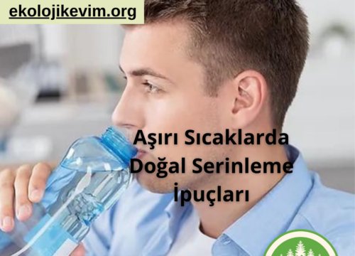 Aşırı Sıcaklarda Doğal Serinleme İpuçları