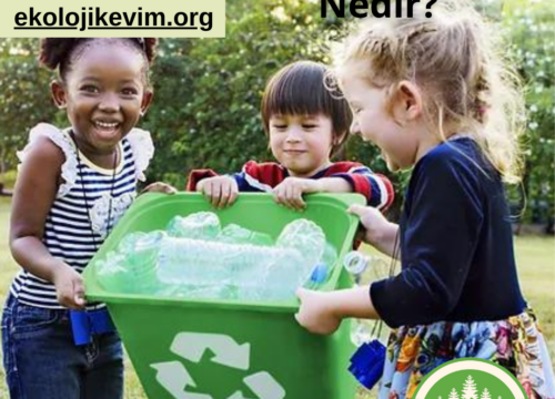Atık Yönetimi Nedir?