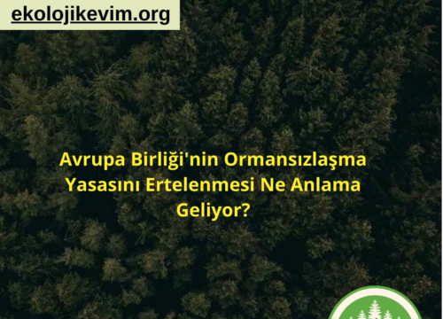 Avrupa Birliği’nin Ormansızlaşma Yasasını Ertelenmesi Ne Anlama Geliyor?