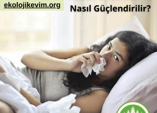 Bağışıklık Sistemi Neden Önemlidir ve Nasıl Güçlendirilir?