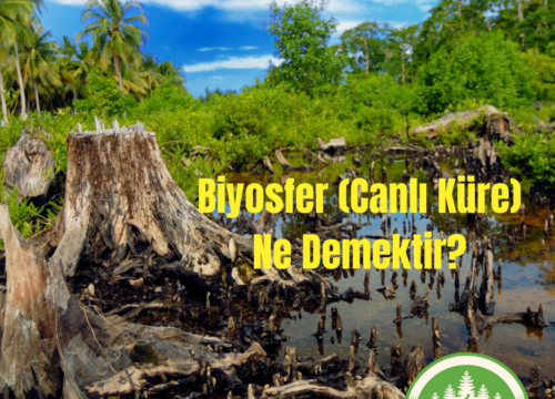 Biyosfer (Canlı Küre) Ne Demektir?