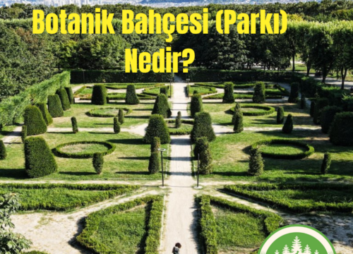 Bursa Botanik Park Tanıtımı