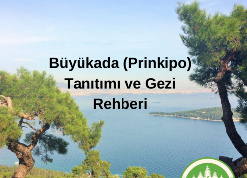 Büyükada (Prinkipo) Tanıtımı ve Gezi Rehberi