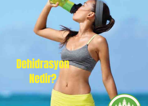Dehidrasyon Nedir?