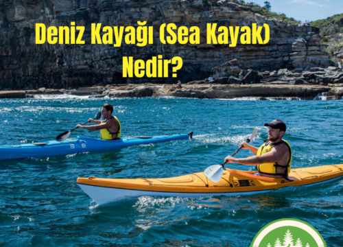 Deniz Kayağı (Sea Kayak) Nedir?