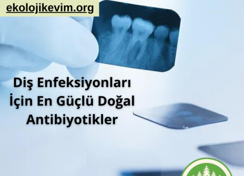 Diş Enfeksiyonları İçin En Güçlü Doğal Antibiyotikler
