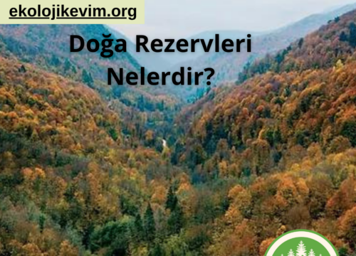 Doğa Rezervleri Nelerdir?