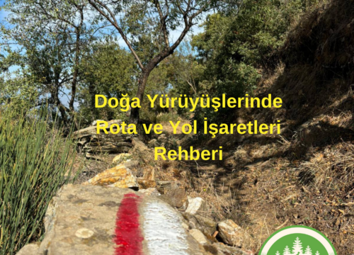 Doğa Yürüyüşlerinde Rota ve Yol İşaretleri Rehberi