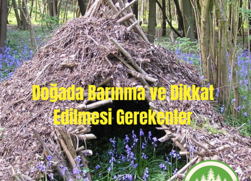 Doğada Barınma ve Dikkat Edilmesi Gerekenler
