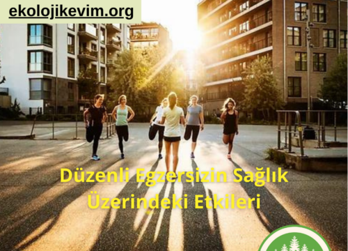 Düzenli Egzersizin Sağlık Üzerindeki Etkileri