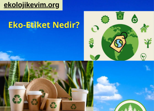 Eko-Etiket Nedir?