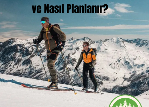 Ekspedisyon Nedir ve Nasıl Planlanır?