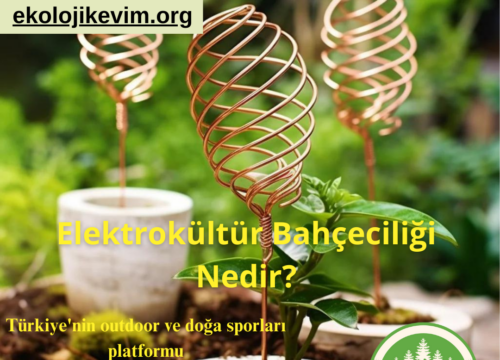 Elektrokültür Bahçeciliği Nedir?