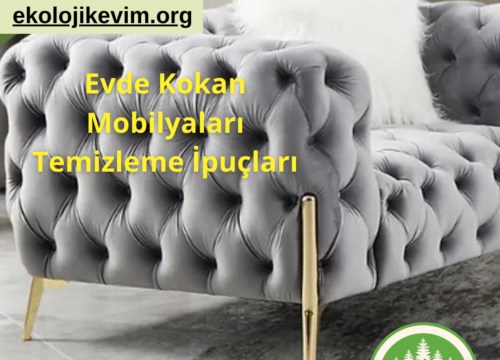Evde Kokan Mobilyaları Temizleme İpuçları