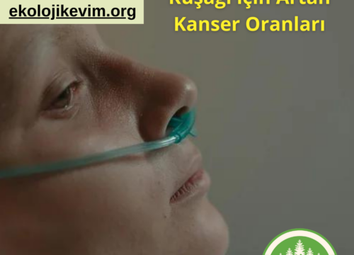 Gen X ve Milenyum Kuşağı için Artan Kanser Oranları