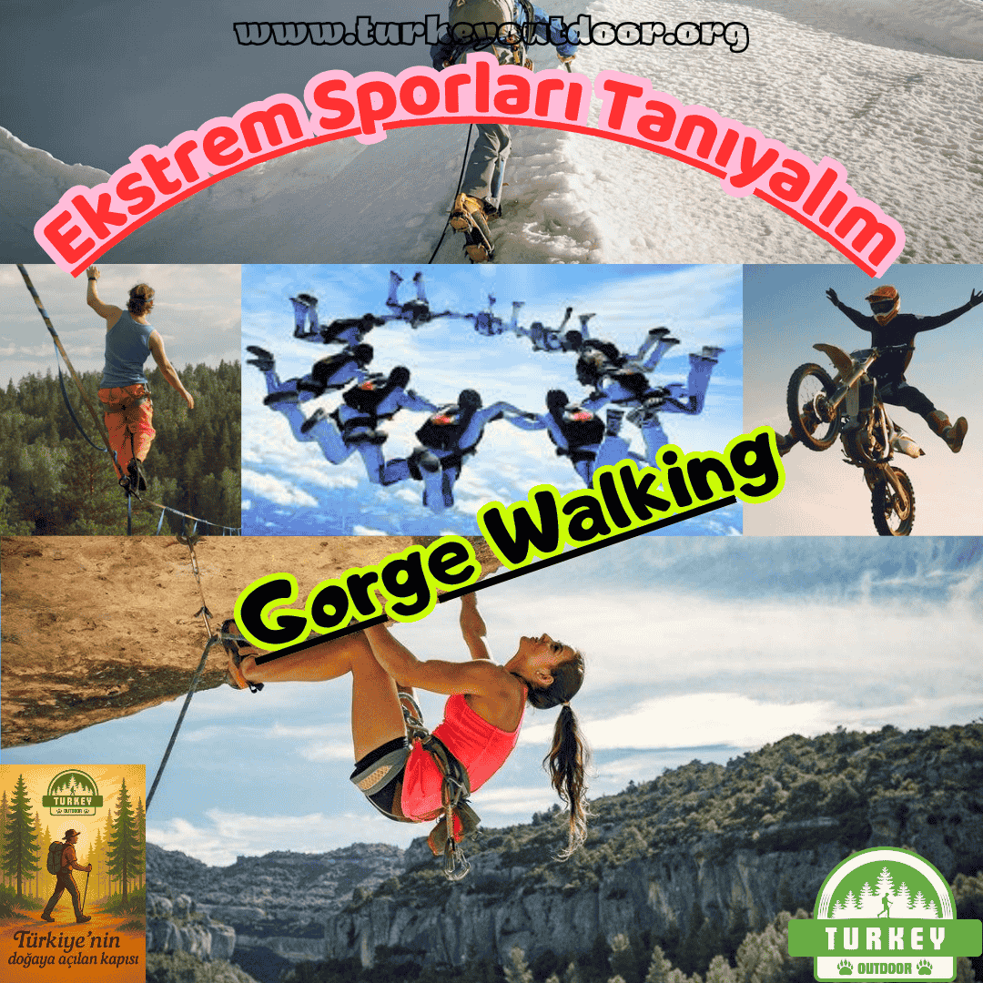 Gorge Walking