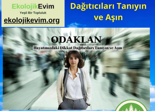 Hayatınızdaki Dikkat Dağıtıcıları Tanıyın ve Aşın