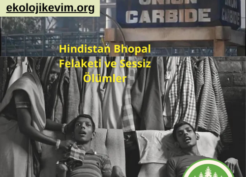 Hindistan Bhopal Felaketi ve Sessiz Ölümler