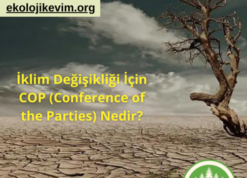 İklim Değişikliği İçin COP (Conference of the Parties) Nedir?