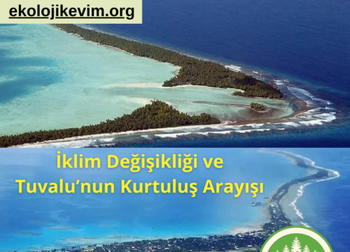 İklim Değişikliği ve Tuvalu’nun Kurtuluş Arayışı