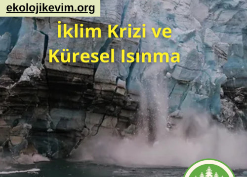 İklim Krizi ve Küresel Isınma