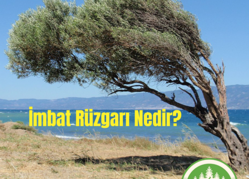 İmbat Rüzgarı Nedir?