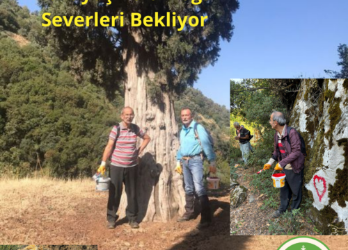 İzmir – Aydın Efeler Yürüyüş Yolu Misafirlerini Bekliyor