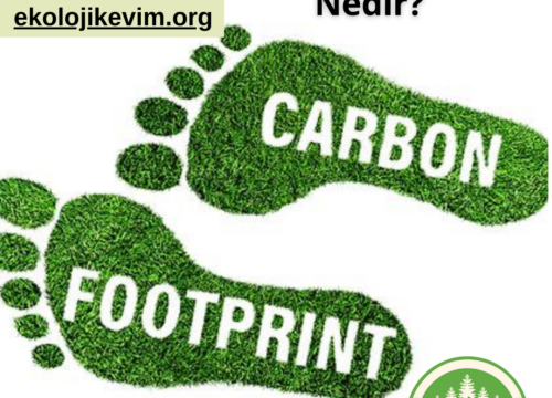 Karbon Ayak İzi Nedir?