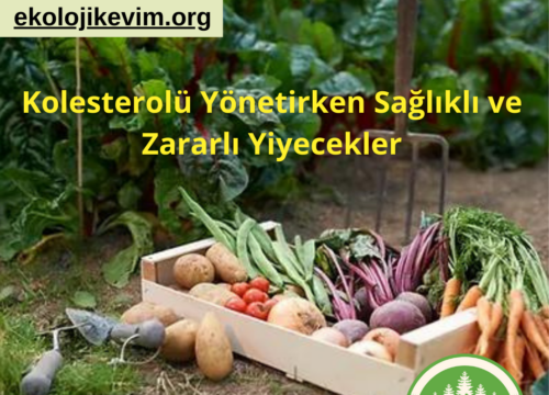 Kolesterolü Yönetirken Sağlıklı ve Zararlı Yiyecekler
