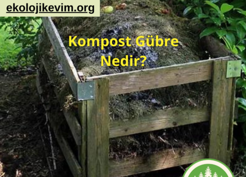 Kompost Gübre Nedir?