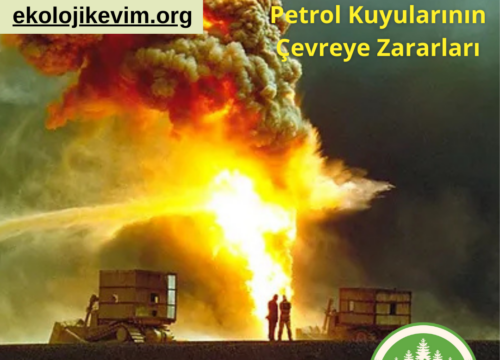 Kuveyt’te Yakılan Petrol Kuyularının Çevreye Zararları