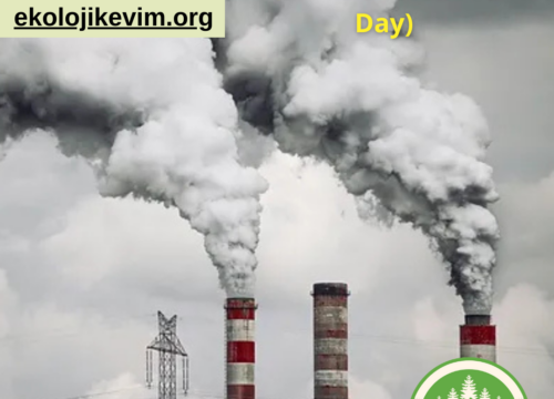 Limit Aşım Günü (Earth Overshoot Day)
