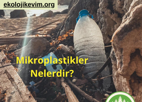 Mikroplastikler Nelerdir?