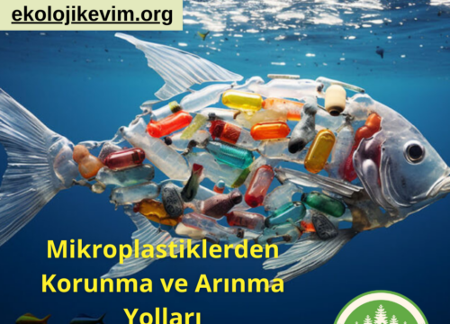Mikroplastiklerden Korunma ve Arınma Yolları