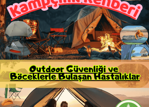 Outdoor Güvenliği: Böceklerle Bulaşan Hastalıklar