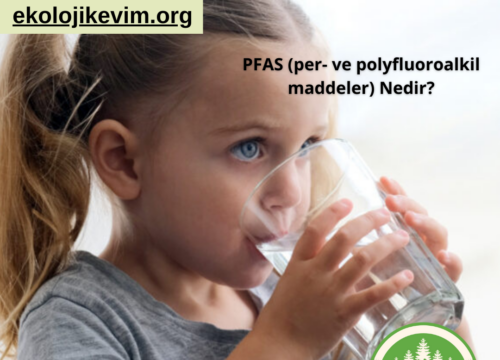 PFAS Kimyasalları (per- ve polyfluoroalkil maddeler) Nedir?