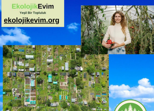 Permakültür Nedir?