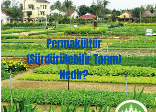 Permakültür (Sürdürülebilir Tarım) Nedir?