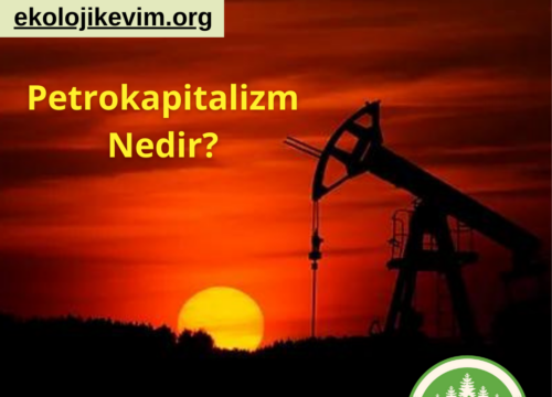 Petrokapitalizm Nedir?
