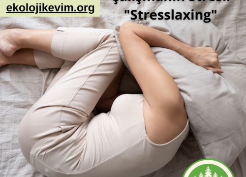 Rahatlamaya Çalışmanın Stresi Stresslaxing