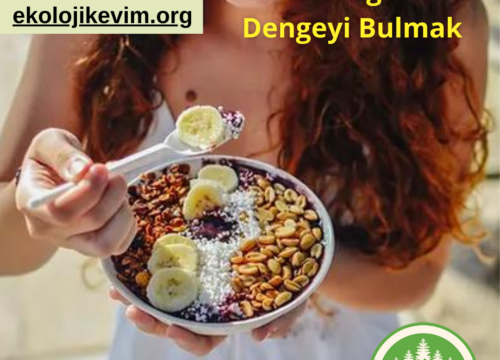Sezgisel Yeme Yolculuğu ve Dengeyi Bulmak